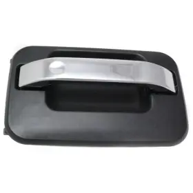 129-01014r Aapf Passenger Door Handle Exterior Rear Fits 04-08 Ford F150 Pickup 437944