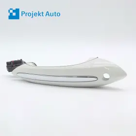 7305333 Bmw 7249979 09-19 Oem Front Left Handle Alpine White 3 F01 F02 F04 F10 F13 F06