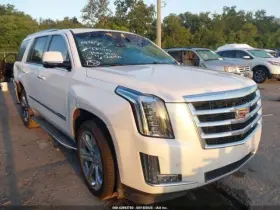129-01013 Cadillac Door Handle Exterior Rear Without Illuminated Fits 15-20 Escalade 1822128