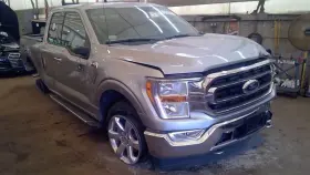 129-10846cr Ford Truck F150 2021 Door Handle Exterior 6247686
