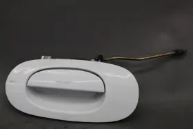 129-50168bl Jaguar 1998-2003 Xj8 Driver Front Exterior Door Handle White Oem R30189
