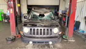 129-01102l Jeep/plymouth Truck Driver Door Handle Exterior Assembly Painted Fits 07-17 Patriot 930827
