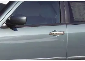 402129 Putco Door Handle Cover Fits 05-08 Magnum