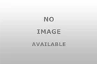 Dorman 97780 Exterior Door Handle - Durable For Replacement Part New. Price: $54.99.