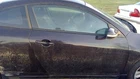 Passenger Front Door Electric Coupe Fits 08-13 Altima 268255 Used. Price: $720.89.