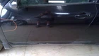 Driver Front Door Electric Coupe Fits 08-13 Altima 483345 Used. Price: $421.88.