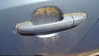 Driver Door Handle Exterior Assembly Sedan Painted Fits 07-10 Elantra 288790 Used. Price: $63.99.