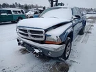 Door Handle Exterior Front Driver Left Fits 02-04 Dakota 8687364 Used. Price: $50.02.
