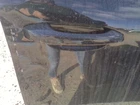 Passenger Door Handle Exterior Assembly Front Fits 15-19 Porsche Macan 31015046 Used. Price: $131.61.