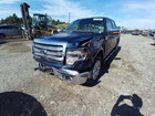 Driver Door Handle Exterior Rear Fits 07-14 Ford F150 Pickup 10922132 Used. Price: $53.02.